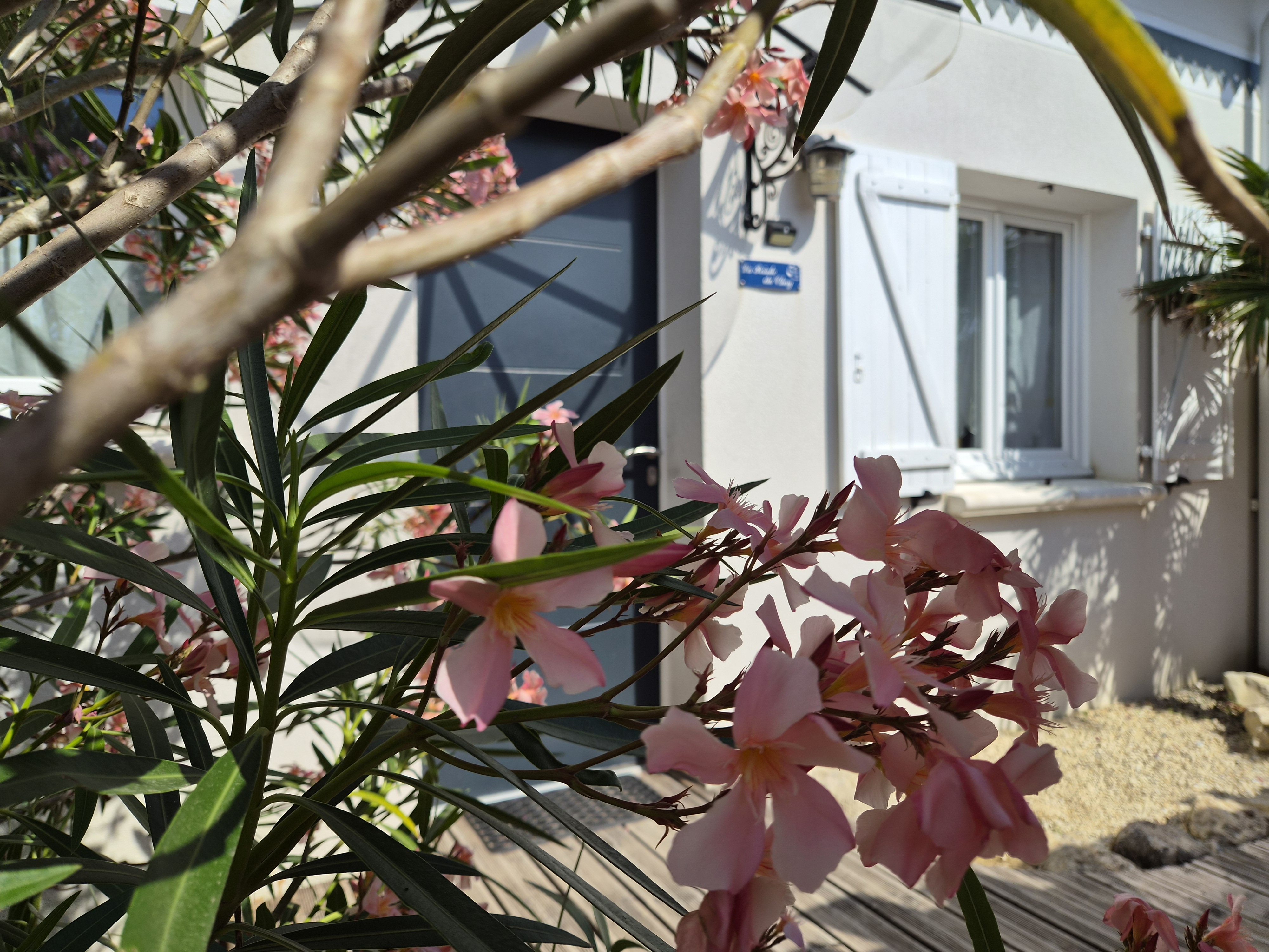 Jardin arboré