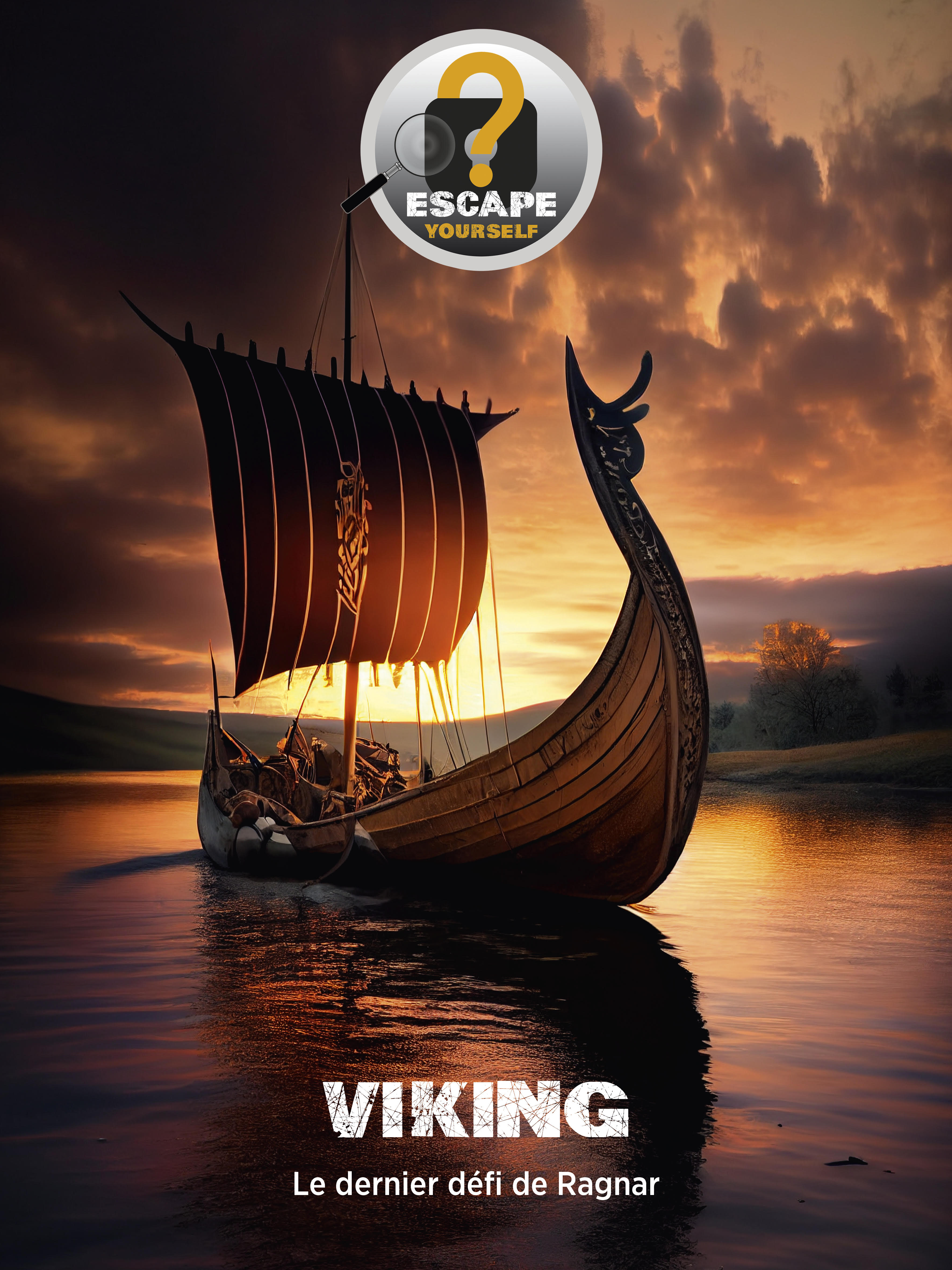 affiche Vikings
