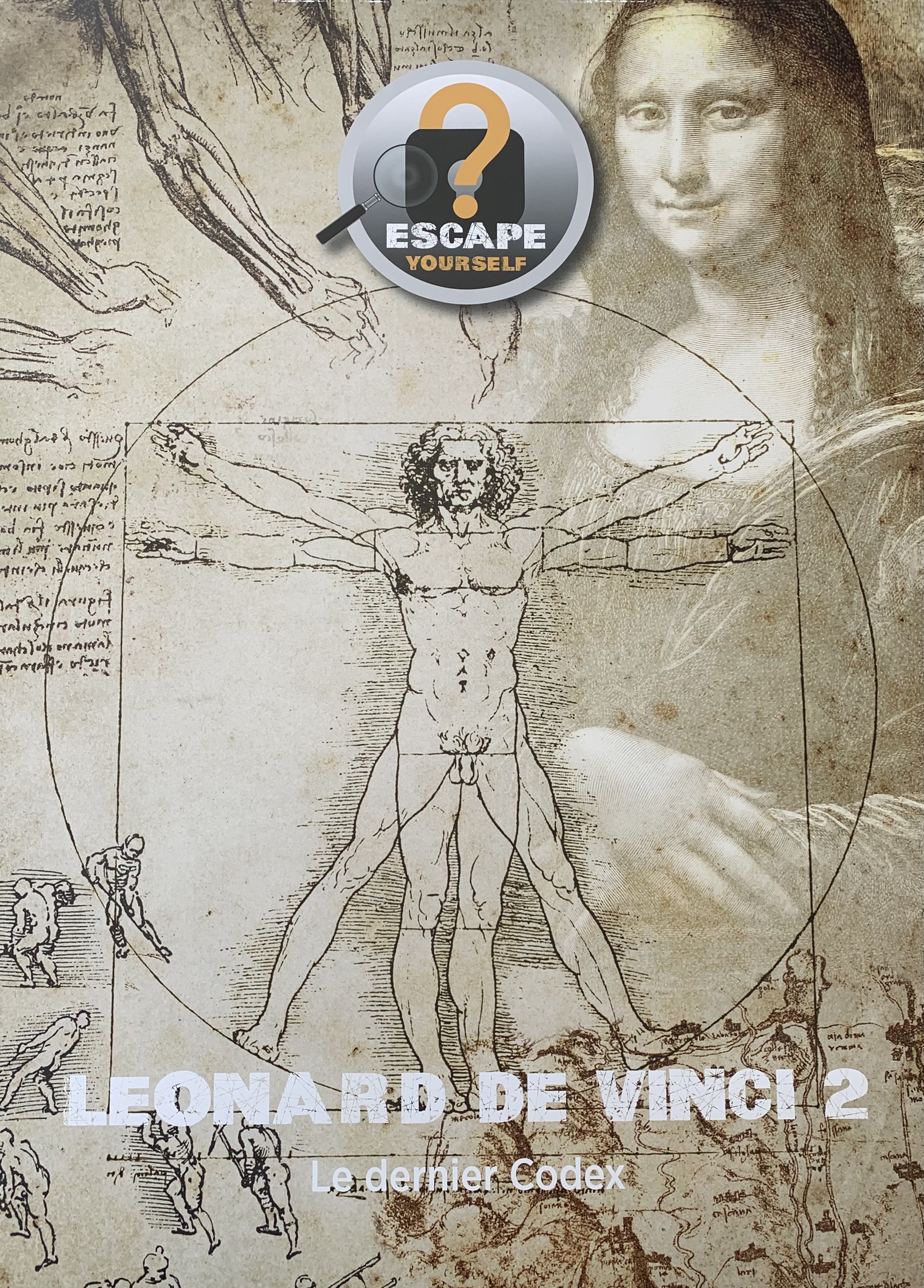 affiche De Vinci